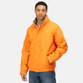 Hellorange-Dunkelgrau - Lifestyle - Regatta Dover Jacke mit Thermo-Guard-Isolierung, wasserdicht, winddicht