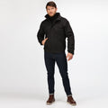 Schwarz-Aschgrau - Lifestyle - Regatta Dover Jacke mit Thermo-Guard-Isolierung, wasserdicht, winddicht