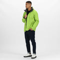 Limette-Grau - Lifestyle - Regatta Herren Standout Ardmore Jacke, wasserdicht, winddicht