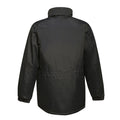 Schwarz - Back - Regatta Herren Jacke Darby III, isoliert