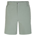 Lilienblatt Grün - Front - Dare 2B Herren Walking-Shorts Tuned In II mit zahlreichen Taschen