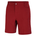 Syrah Rot - Side - Dare 2B Herren Walking-Shorts Tuned In II mit zahlreichen Taschen