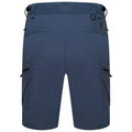 Grau - Back - Dare 2B Herren Walking-Shorts Tuned In II mit zahlreichen Taschen