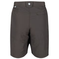 Braun - Back - Regatta - "Leesville II" Shorts für Herren - Wandern