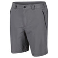 Asche - Front - Regatta - "Leesville II" Shorts für Herren - Wandern