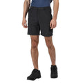 Asche - Back - Regatta - "Leesville II" Shorts für Herren - Wandern