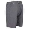 Asche - Side - Regatta - "Leesville II" Shorts für Herren - Wandern