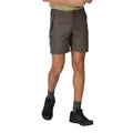 Braun - Side - Regatta - "Leesville II" Shorts für Herren - Wandern