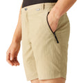 Hafer - Lifestyle - Regatta - "Leesville II" Shorts für Herren - Wandern