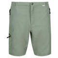 Agaven-Grün - Front - Regatta - "Leesville II" Shorts für Herren - Wandern