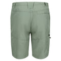 Agaven-Grün - Back - Regatta - "Leesville II" Shorts für Herren - Wandern