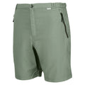 Agaven-Grün - Side - Regatta - "Leesville II" Shorts für Herren - Wandern