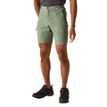 Agaven-Grün - Lifestyle - Regatta - "Leesville II" Shorts für Herren - Wandern