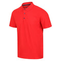 Feuerrot - Back - Regatta Herren Poloshirt Sinton leicht, kurzärmlig