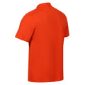 Rost-Orange - Lifestyle - Regatta Herren Poloshirt Sinton leicht, kurzärmlig