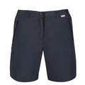 Mittelgrau - Lifestyle - Regatta Damen Wandershorts Chaska II