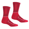 Kirschrot-Weiß - Front - Regatta - "Samaris 2 Season" Stiefelsocken für Damen