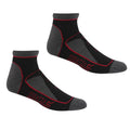 Schwarz-Kirschrot - Front - Regatta - "Samaris Trail" Knöchelsocken für Damen (2er-Pack)