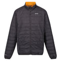 Asche-Orangen Pfeffer - Front - Regatta - "Hillpack" Isolier-Jacke für Herren