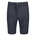 Dunkelgrau - Front - Regatta - "Sandros" Shorts für Herren