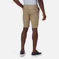 Goldener Sand - Lifestyle - Regatta - "Sandros" Shorts für Herren