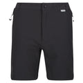 Asche-Schwarz - Front - Regatta - "Mountain II" Shorts für Herren