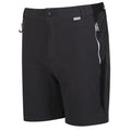 Asche-Schwarz - Side - Regatta - "Mountain II" Shorts für Herren