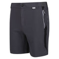 Mittelgrau-Schwarz - Side - Regatta - "Mountain II" Shorts für Herren