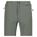 Agaven-Grün-Asche - Front - Regatta - "Mountain II" Shorts für Herren