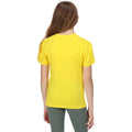 Maisgelb - Pack Shot - Regatta - T-Shirt für Kinder