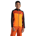 Papageientaucher Orange-Schwarz - Lifestyle - Dare 2B - "Thriving" Midlayer mit Kapuze für Kinder