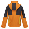 Orangen Pfeffer-Mittelgrau - Back - Regatta - "Haydenbury" Softshelljacke für Kinder