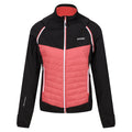 Schwarz-Mineral Rot - Front - Regatta - "Steren" Hybridjacke für Damen