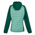 Grün-Regenwald - Back - Regatta - "Andreson VIII" Hybridjacke für Damen