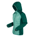 Grün-Regenwald - Side - Regatta - "Andreson VIII" Hybridjacke für Damen