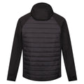 Schwarz - Side - Regatta - "Andreson VIII" Hybridjacke für Herren