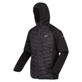 Schwarz - Lifestyle - Regatta - "Andreson VIII" Hybridjacke für Herren