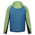 Leuchtend Blau-Pikantgrün - Back - Regatta - "Andreson VIII" Hybridjacke für Herren