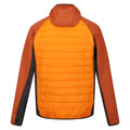 Orangen Pfeffer-Gebranntes Kupfer - Back - Regatta - "Andreson VIII" Hybridjacke für Herren