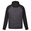 Asche-Schwarz - Back - Regatta - "Andreson VIII" Hybridjacke für Herren