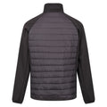 Schwarz - Back - Regatta - "Clumber IV" Hybridjacke für Herren