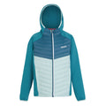 Leuchtend Blau-Tahoeblau-Gebleichtes Türkis - Front - Regatta - "Kielder VIII" Hybridjacke für Kinder