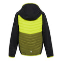 Schwarz-Zitronen Limette - Back - Regatta - "Kielder VIII" Hybridjacke für Kinder