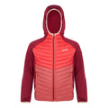 Rot-Dunkel-Orange - Front - Regatta - "Kielder VIII" Hybridjacke für Kinder