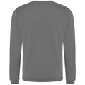 Solides Grau - Back - Pro RTX Herren Sweatshirt