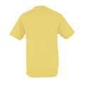 Zitronensorbet - Back - AWDis Just Cool Herren Performance T-Shirt