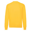 Sonenblumen-Gelb - Back - Fruit of the Loom - "Classic 80-20" Sweatshirt für Herren