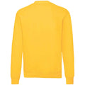 Sonnenblume - Back - Fruit of the Loom - "Classic 80-20" Sweatshirt für Herren