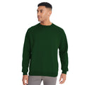 Flaschengrün - Back - Maddins Herren Sweatshirt - Pullover mit Rundhalsausschnitt Coloursure