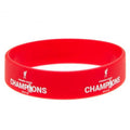 Rot - Back - Liverpool FC - Premier League Champions Armband